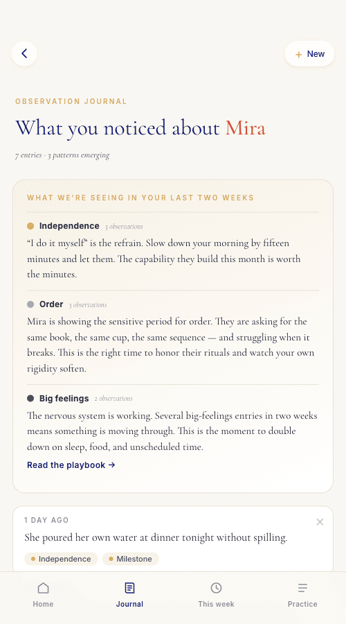Family Companion observation journal showing pattern detection