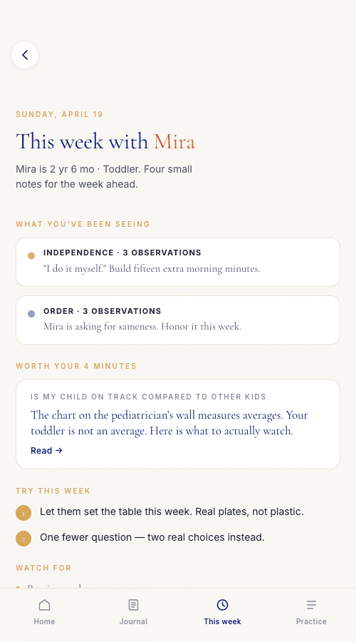 What your child has been working on. What to try at home this week.