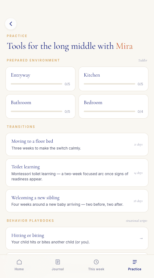 Prepared environment, transitions, and behavior — in plain language.