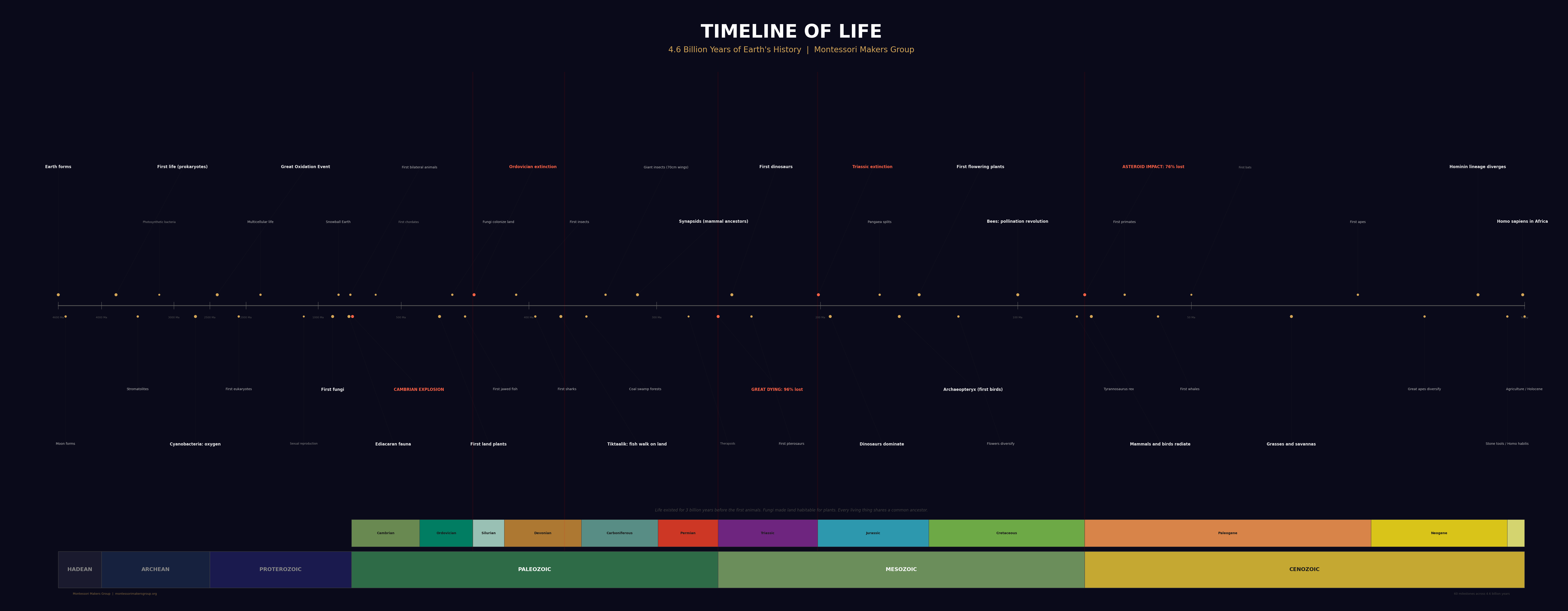 Timeline of Life